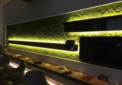 苔蘚墻