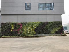 活體植物墻